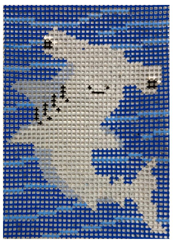 Hammerhead Canvas