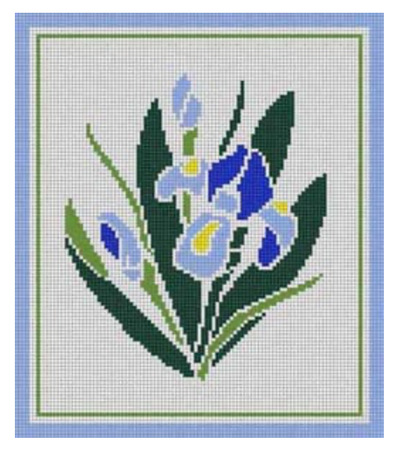 Iris Canvas