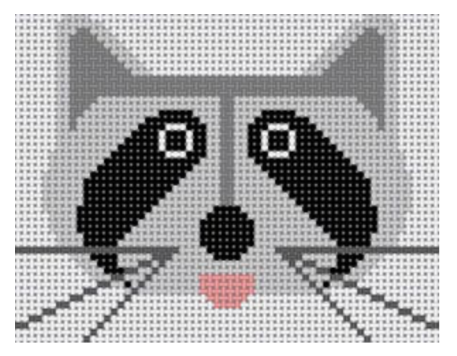 Raccoon Canvas