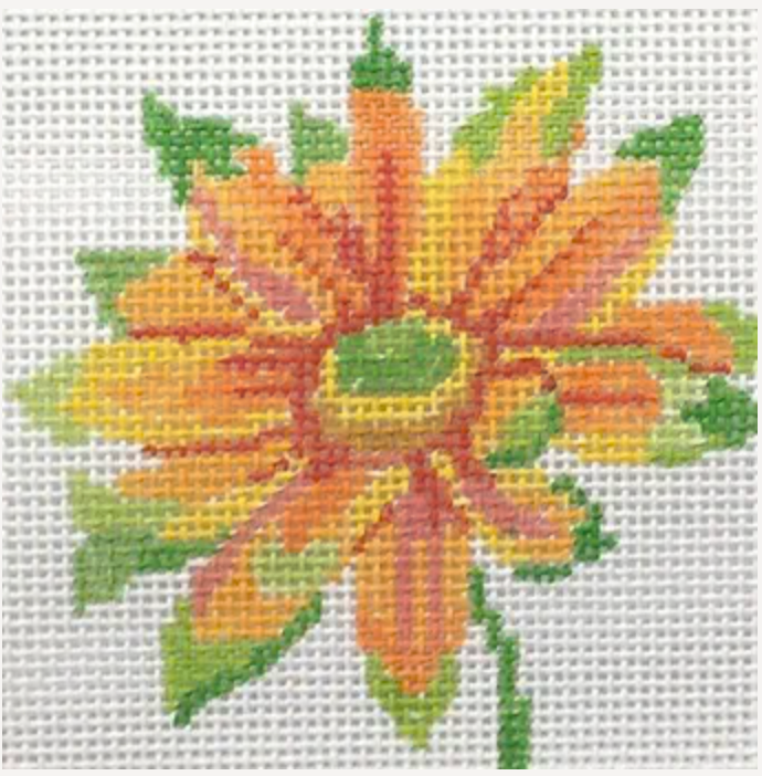Tropical Daisy Canvas