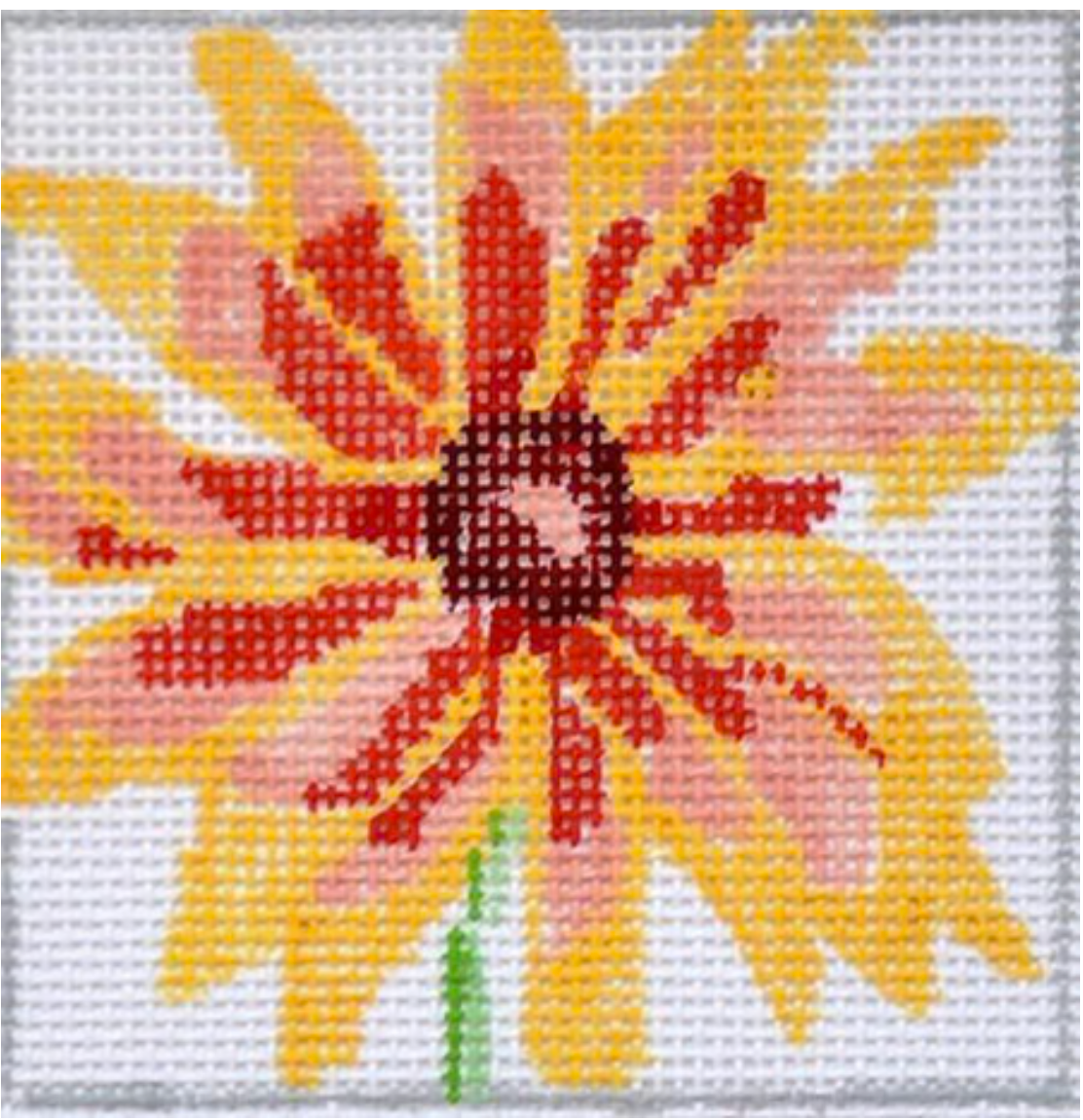 Brown Eyed Susan Canvas