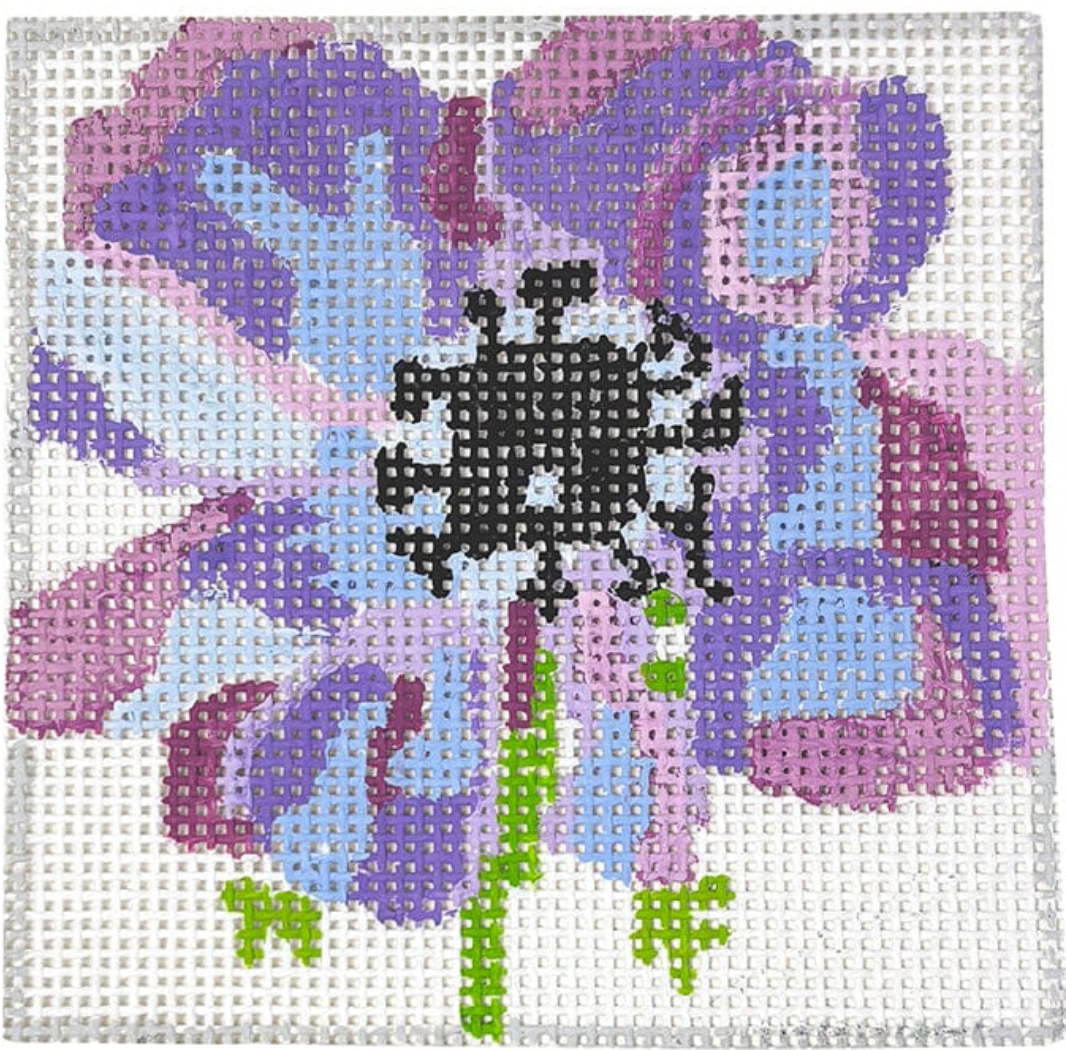 Anemone Canvas
