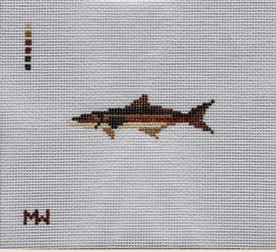 Cobia Mini Canvas