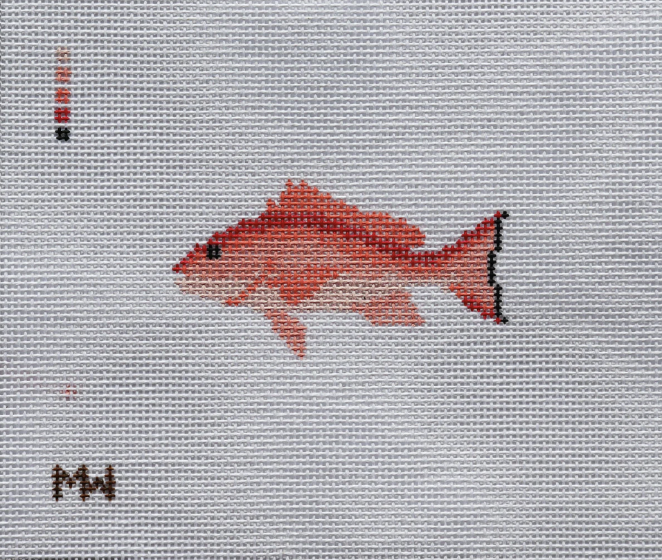 Red Snapper Mini Canvas