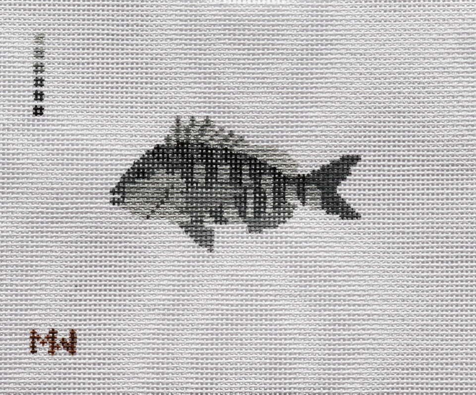 Sheepshead Mini Canvas