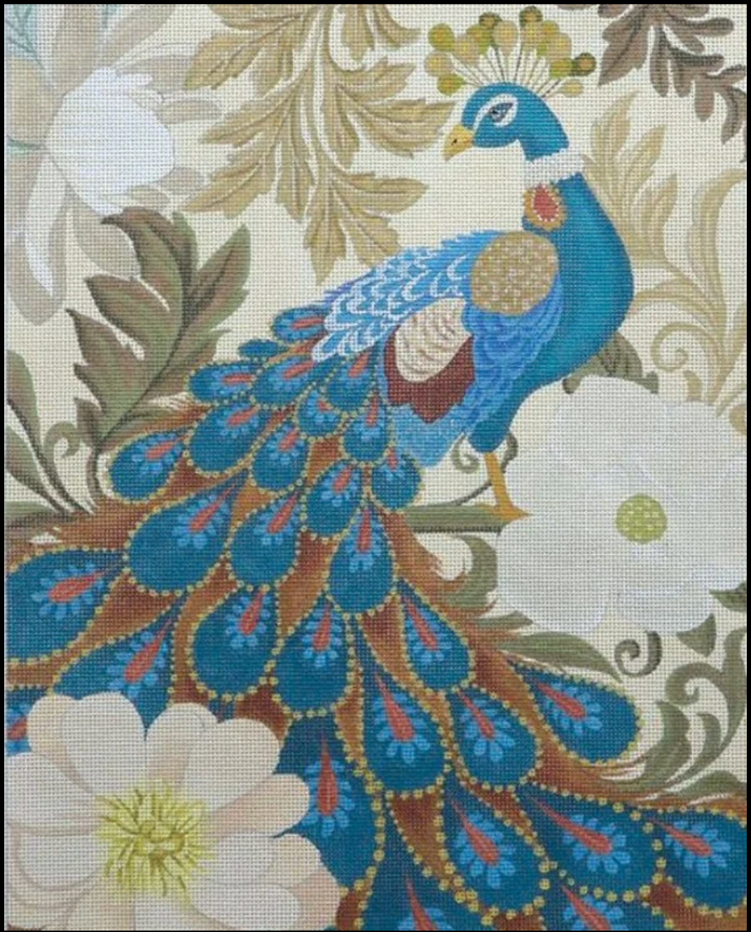 Pretty Blue Peacock Canvas