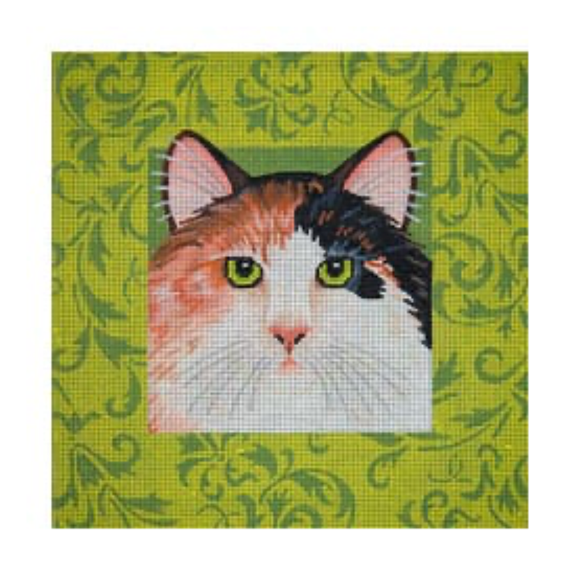 Cat with Green Background Canvas