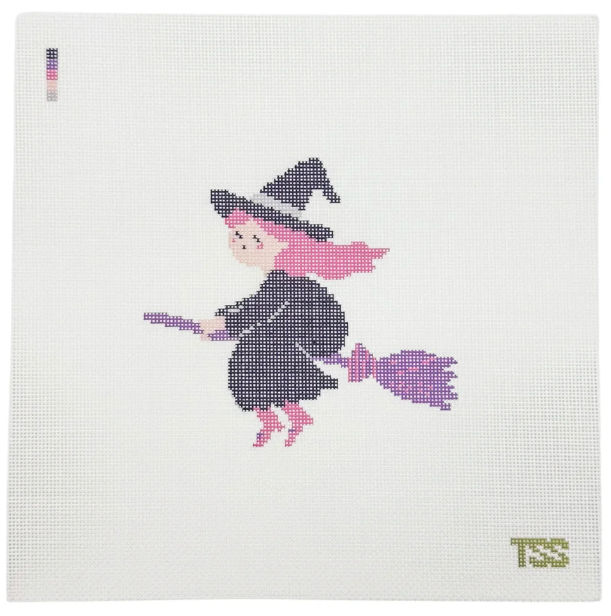 Witch on the Go Canvas