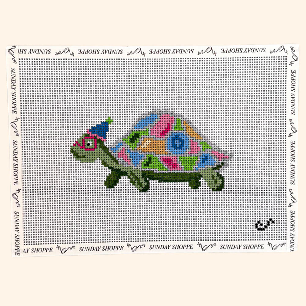 Party Animal Turtle Canvas