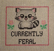 Raccoon Currently Feral Canvas