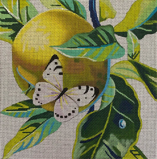Fruit + Butterfly Canvas