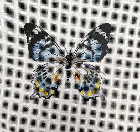 Butterfly 3 Canvas