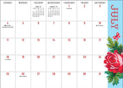 Dolly Parton 2027 Monthly Pocket Planner Calendar by Andrews McMeel Publishing: Calendar; 32 pages / English
