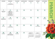 Dolly Parton 2027 Monthly Pocket Planner Calendar by Andrews McMeel Publishing: Calendar; 32 pages / English